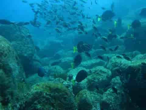 Thumbnail 2 Thumbnail 2