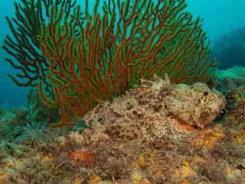 Thumbnail 6 Thumbnail 6