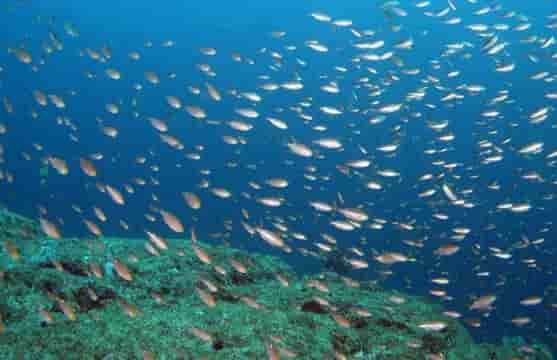 Thumbnail 14 Thumbnail 14