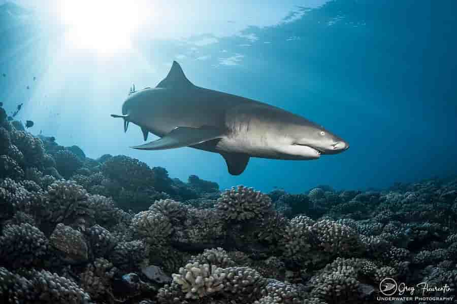 Thumbnail 1 Thumbnail 1