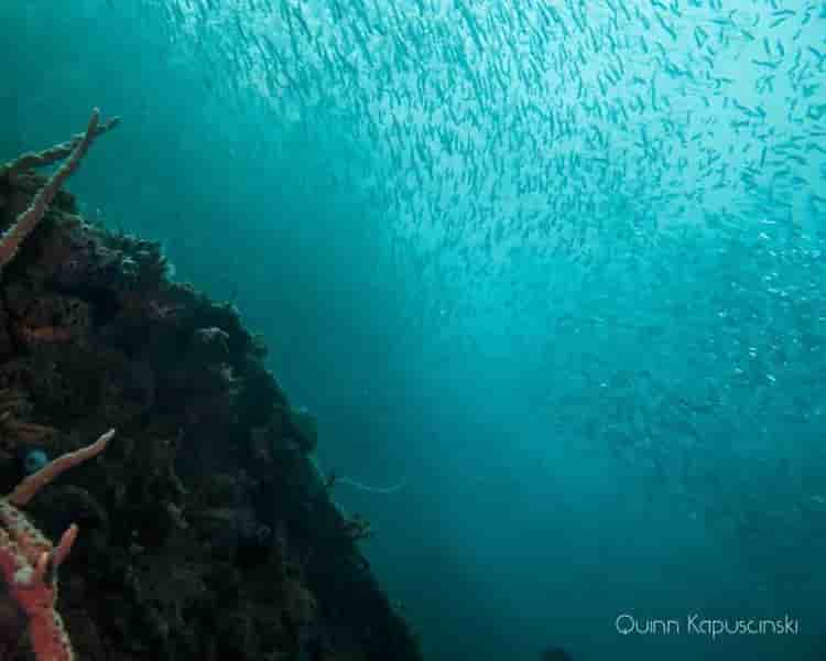 Thumbnail 7 Thumbnail 7