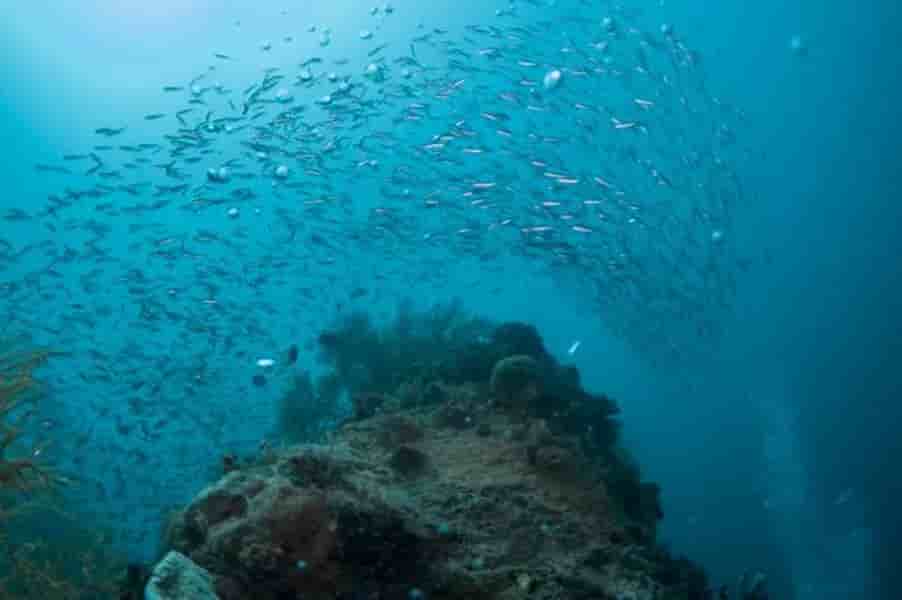 Thumbnail 5 Thumbnail 5