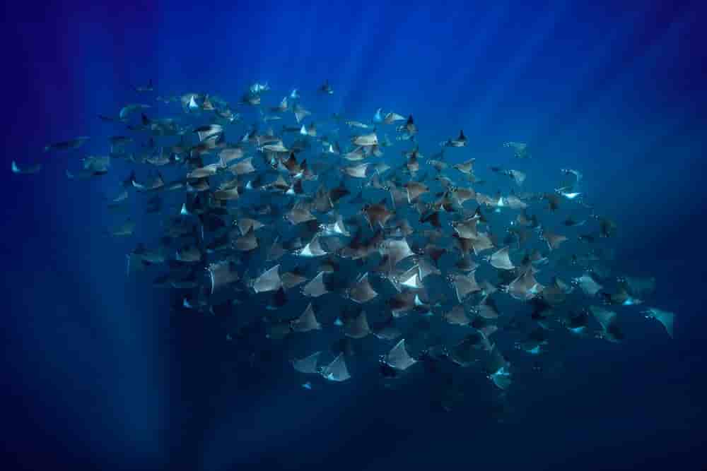 Thumbnail 2 Thumbnail 2