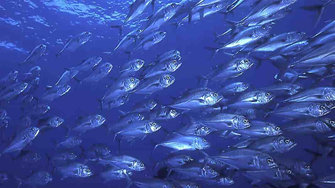 Thumbnail 5 Thumbnail 5