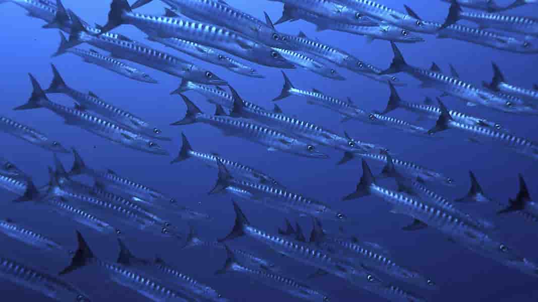 Thumbnail 6 Thumbnail 6