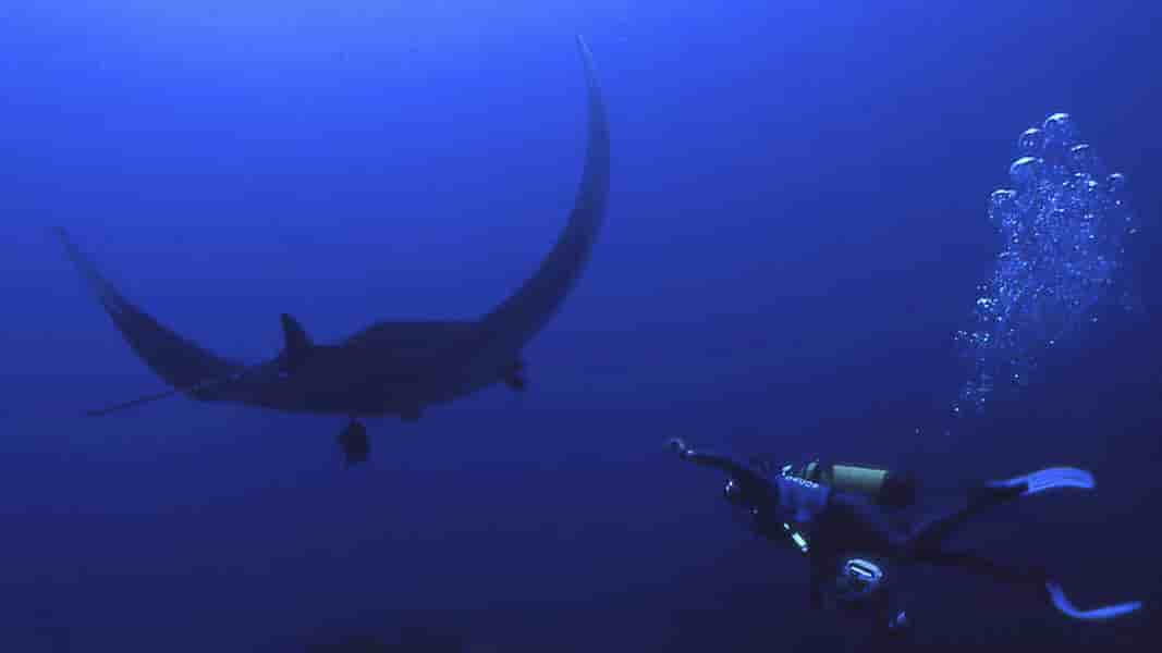 Thumbnail 7 Thumbnail 7