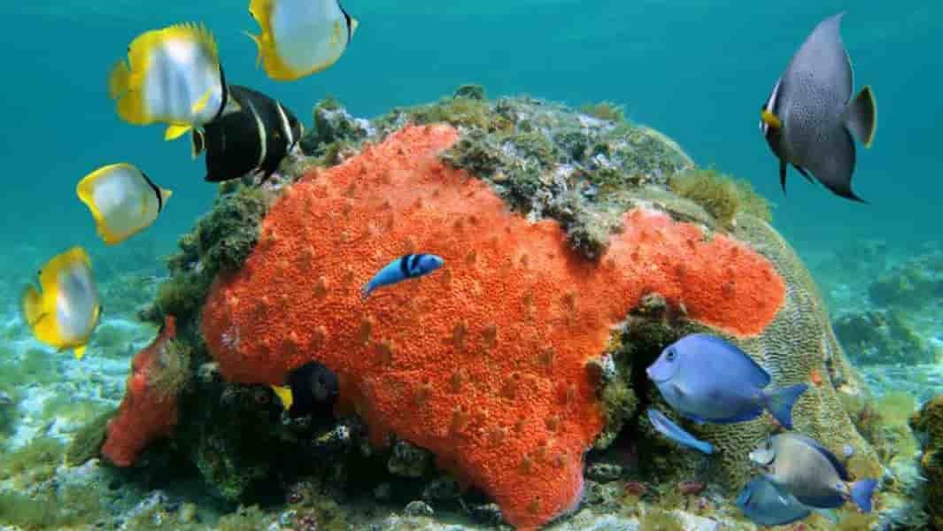 Thumbnail 1 Thumbnail 1