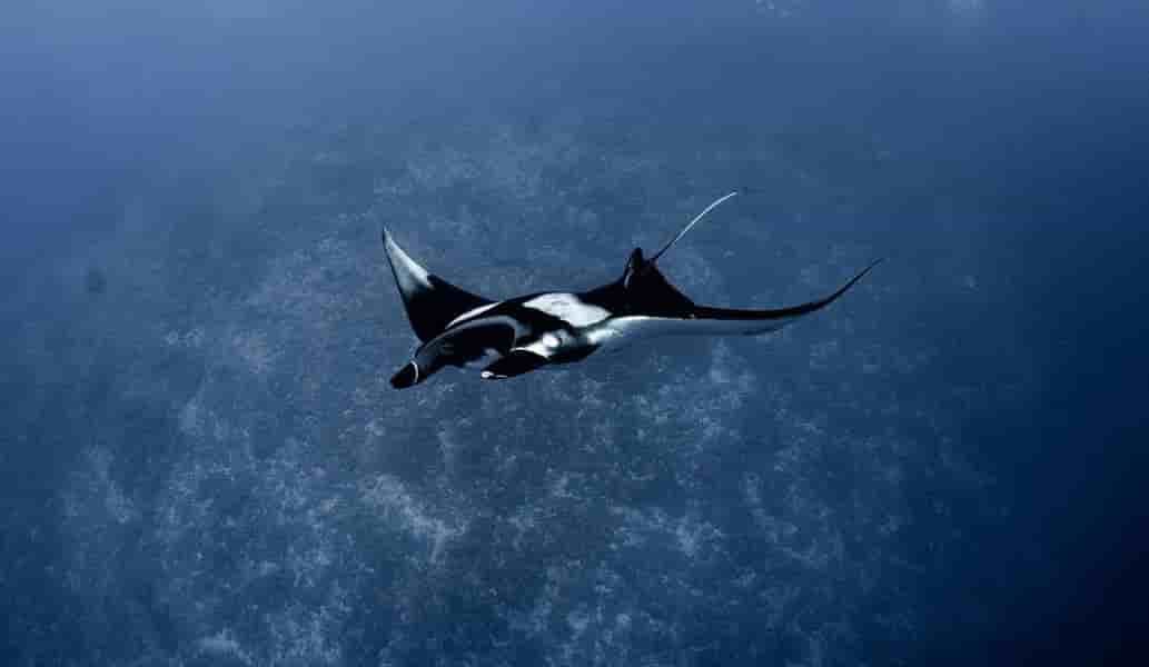 Thumbnail 10 Thumbnail 10