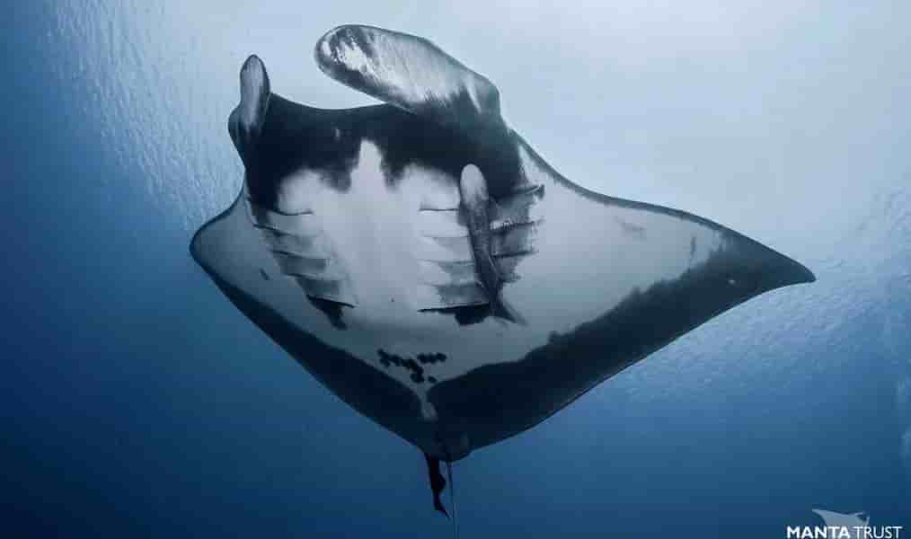 Thumbnail 3 Thumbnail 3