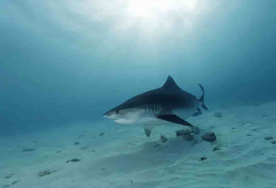 Thumbnail 4 Thumbnail 4