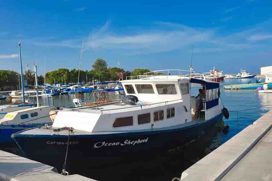 Thumbnail 9 Thumbnail 9