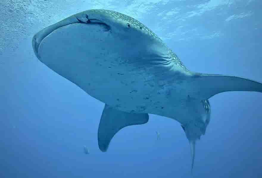 Thumbnail 10 Thumbnail 10