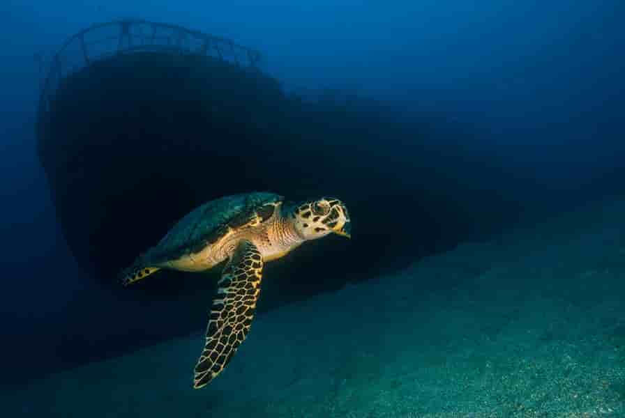 Thumbnail 14 Thumbnail 14