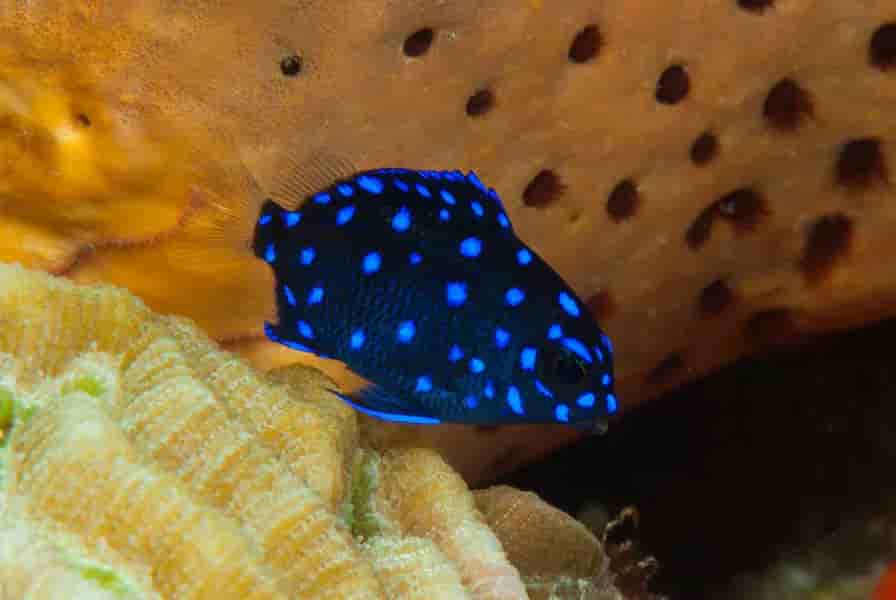 Thumbnail 18 Thumbnail 18