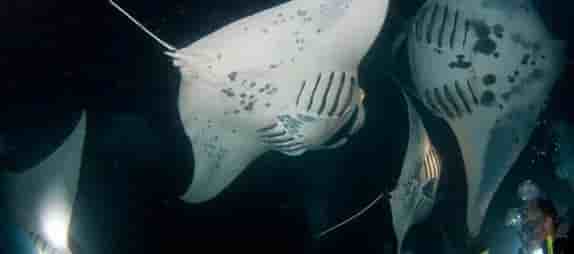 Thumbnail 5 Thumbnail 5