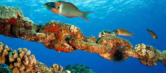 Thumbnail 11 Thumbnail 11