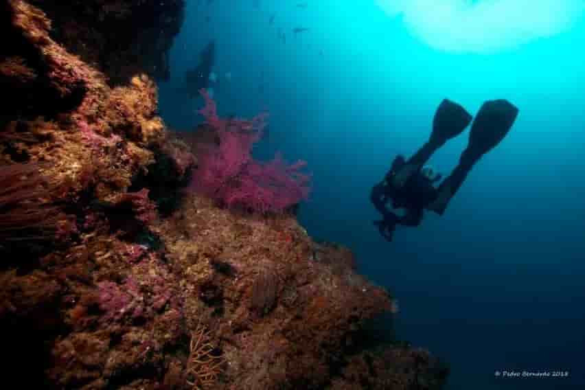 Thumbnail 8 Thumbnail 8