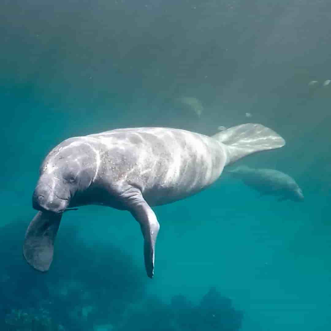 Thumbnail 5 Thumbnail 5