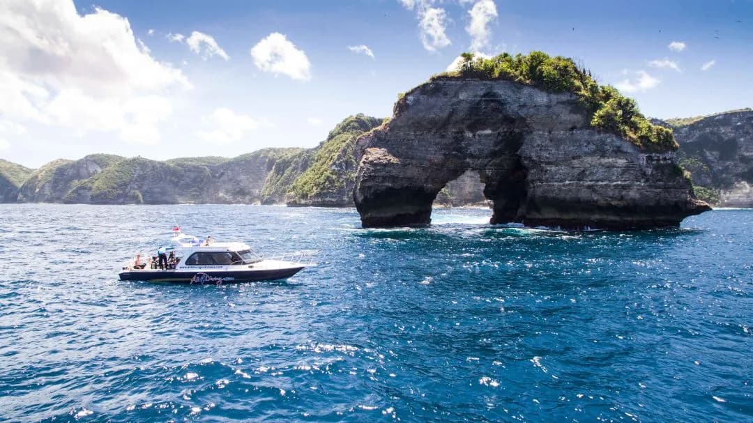 All 4 Diving - Bali - image All 4 Diving - Bali - image