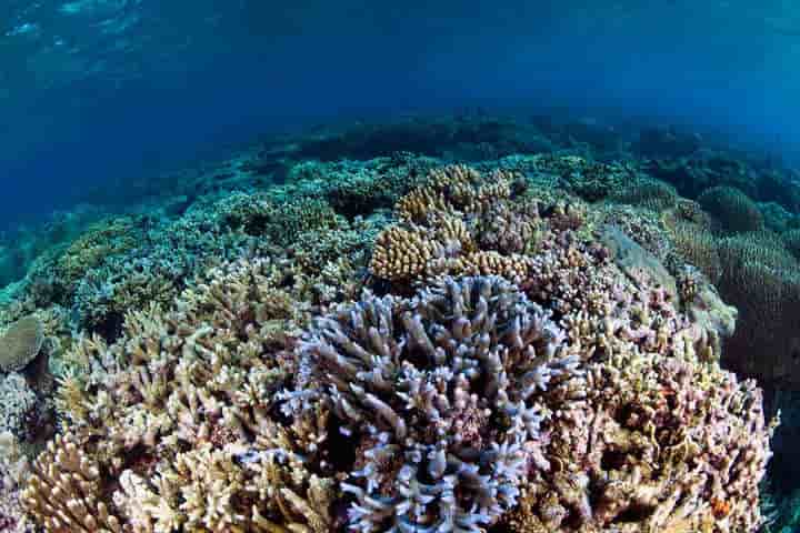 Thumbnail 7 Thumbnail 7