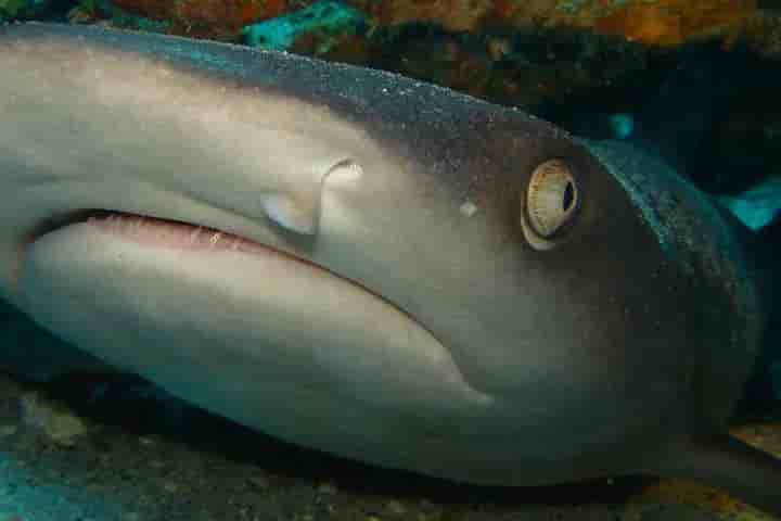 Thumbnail 9 Thumbnail 9