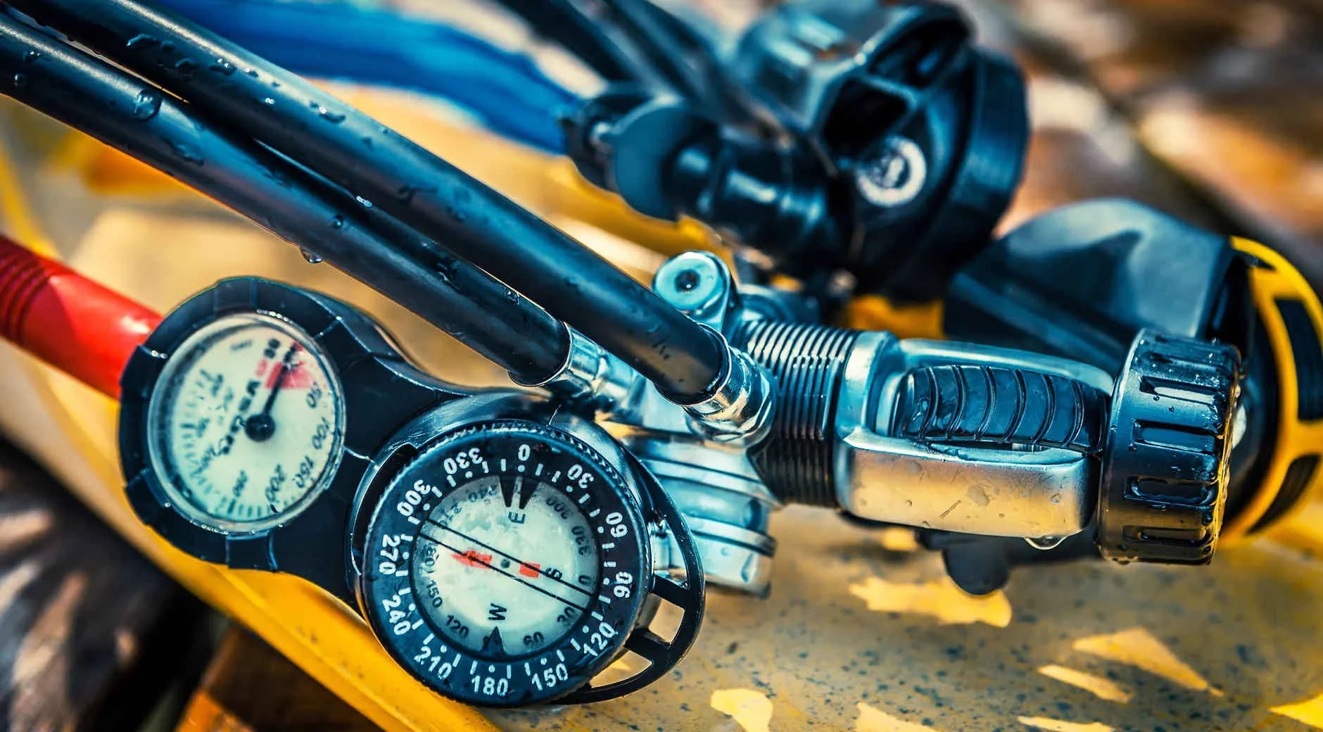 Pacific Dive - image Pacific Dive - image