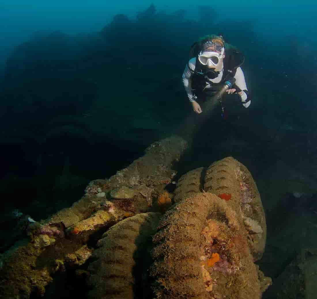 Thumbnail 2 Thumbnail 2