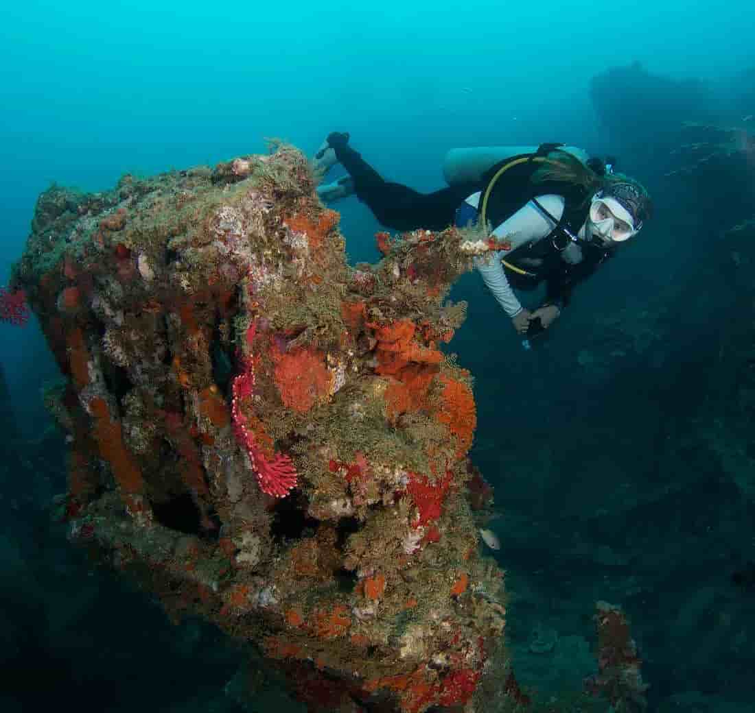 Thumbnail 4 Thumbnail 4