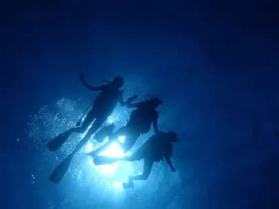 Dive Club Maldives - image Dive Club Maldives - image