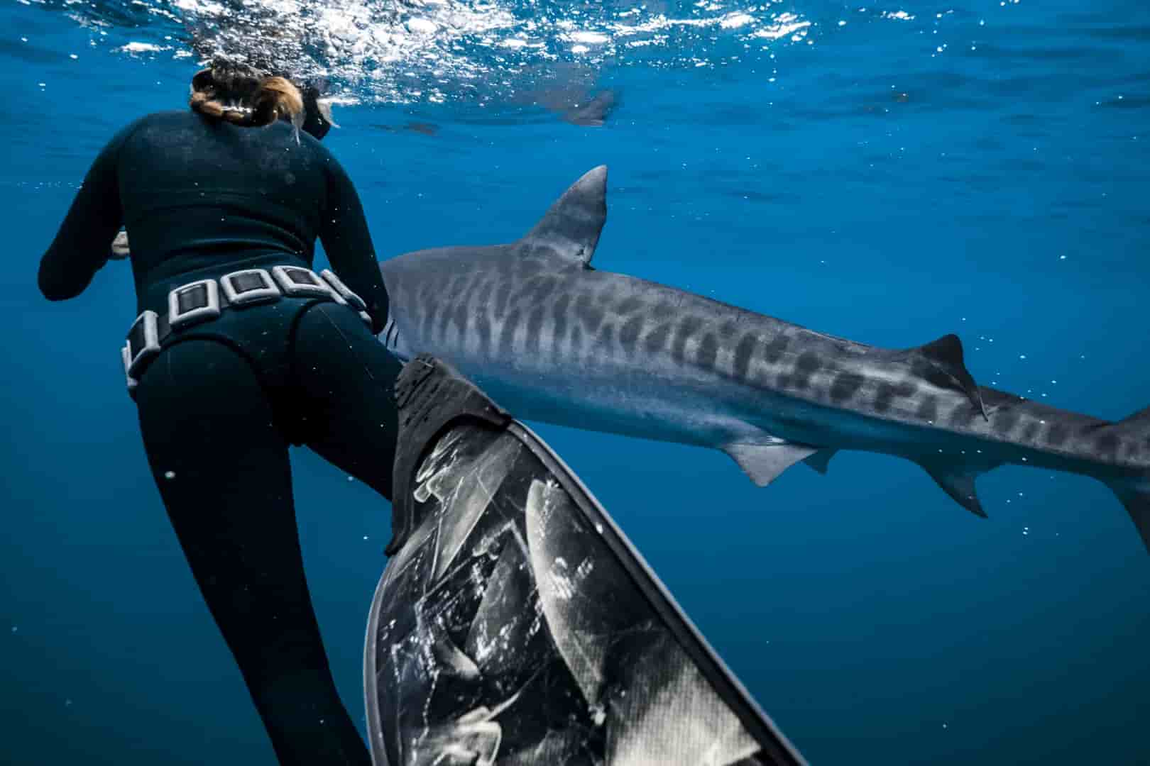 Thumbnail 3 Thumbnail 3