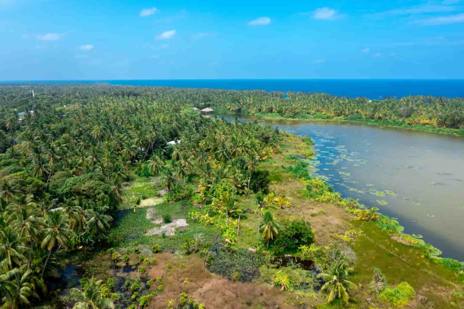 Thumbnail 4 Thumbnail 4