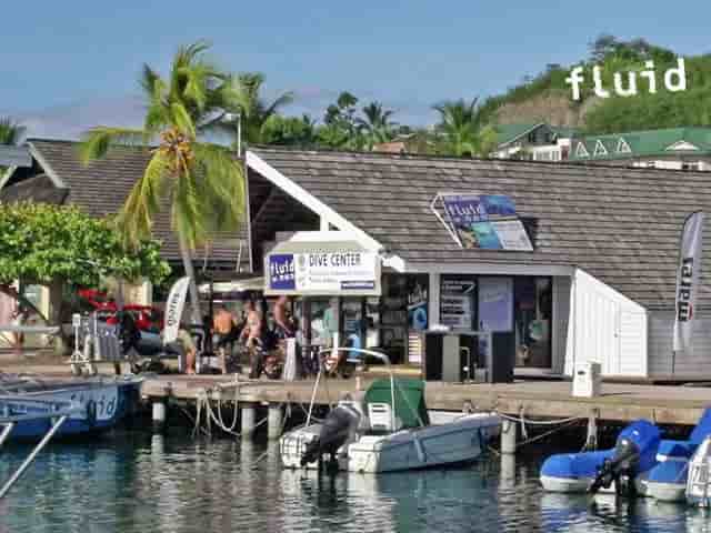 Thumbnail 1 Thumbnail 1