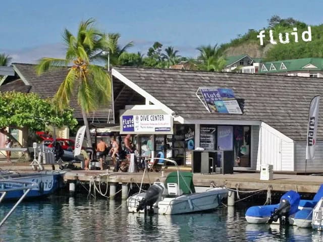 Fluid Tahiti - image Fluid Tahiti - image