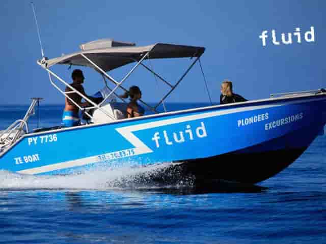 Thumbnail 5 Thumbnail 5