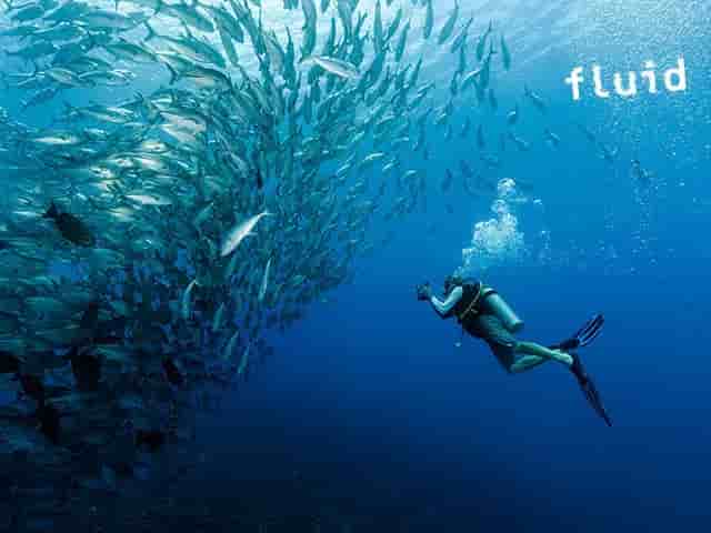 Thumbnail 6 Thumbnail 6