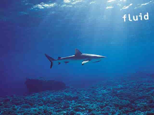 Thumbnail 7 Thumbnail 7