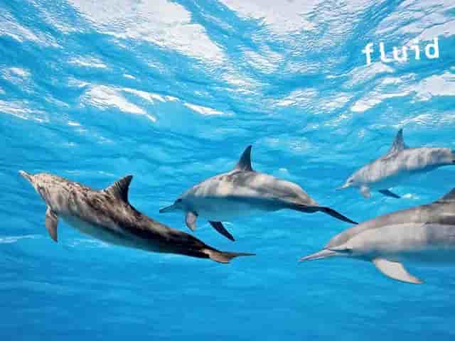 Thumbnail 8 Thumbnail 8