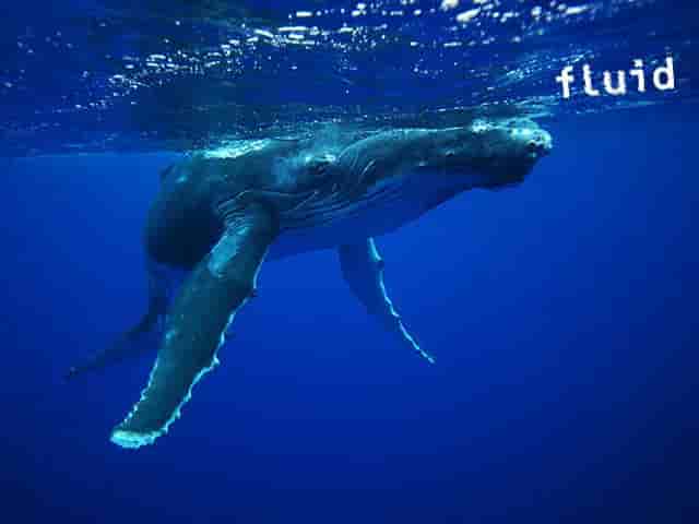 Thumbnail 9 Thumbnail 9