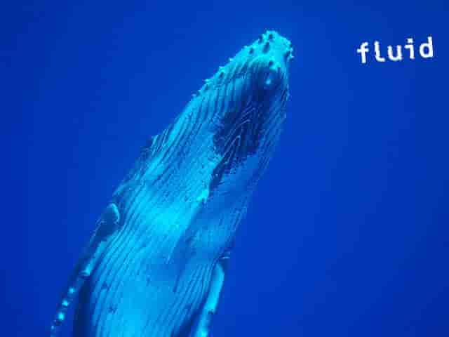 Thumbnail 10 Thumbnail 10