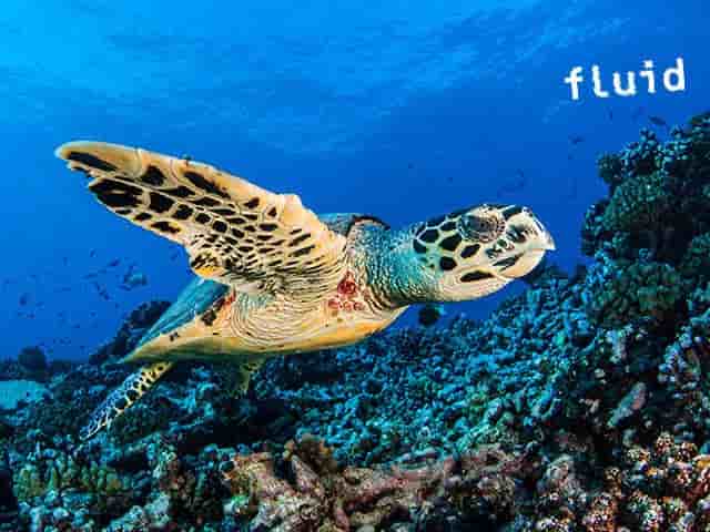 Thumbnail 11 Thumbnail 11