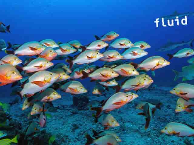 Thumbnail 12 Thumbnail 12