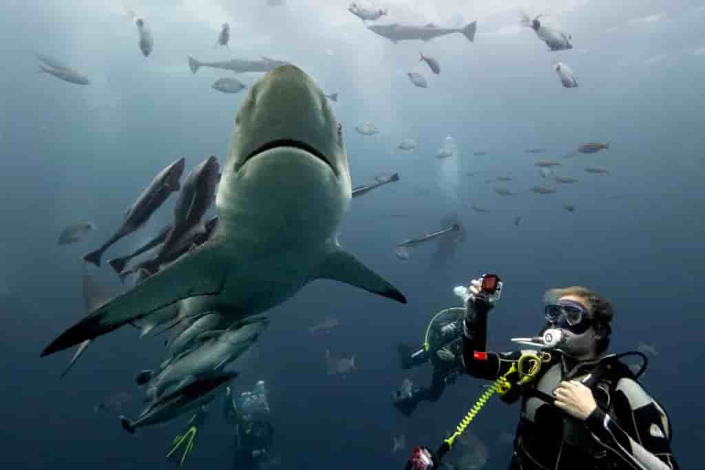 Thumbnail 2 Thumbnail 2