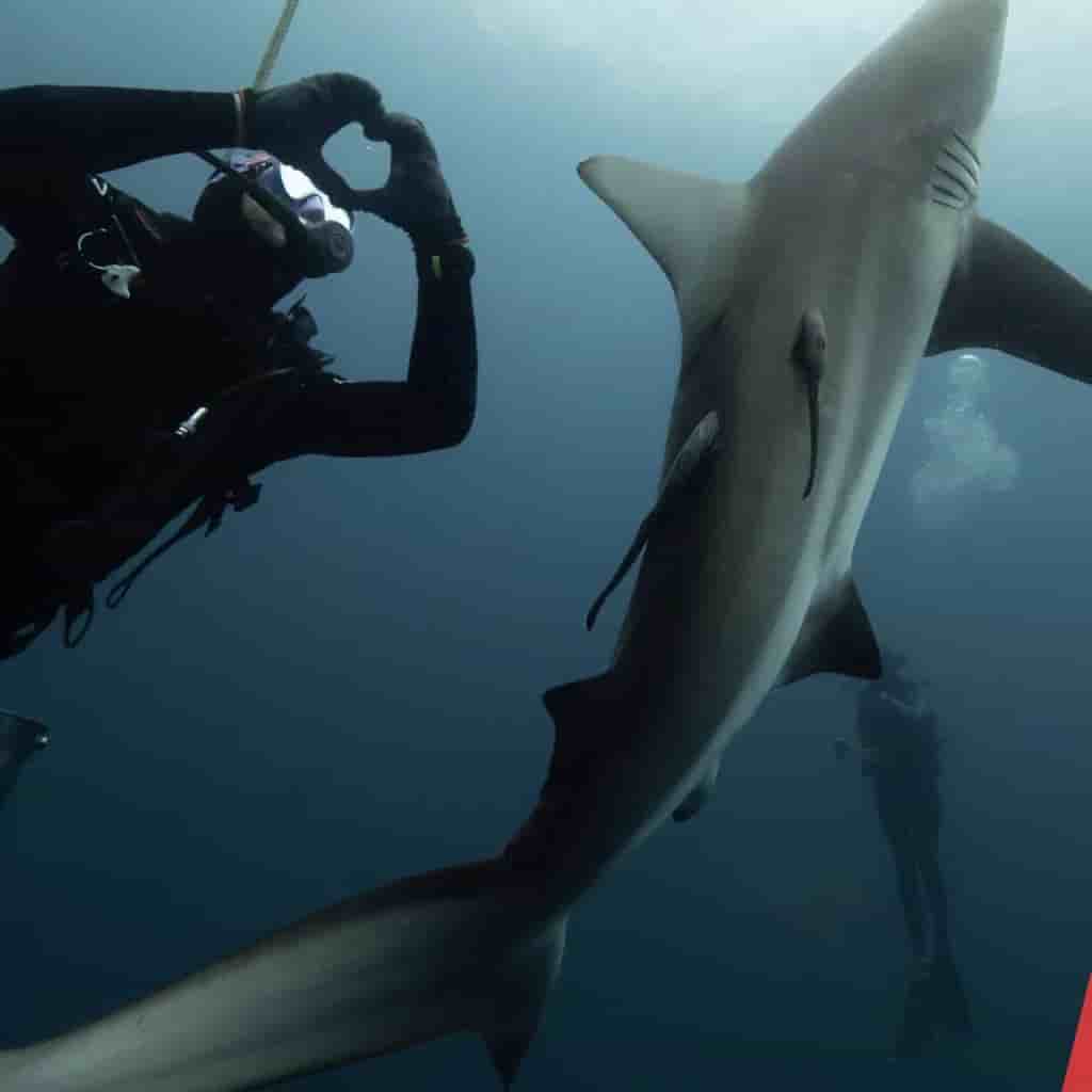 Thumbnail 4 Thumbnail 4