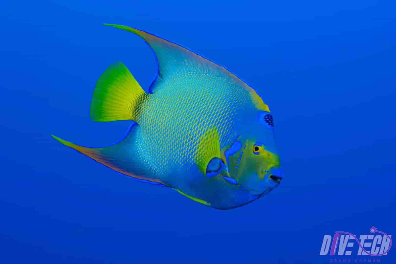 Thumbnail 7 Thumbnail 7