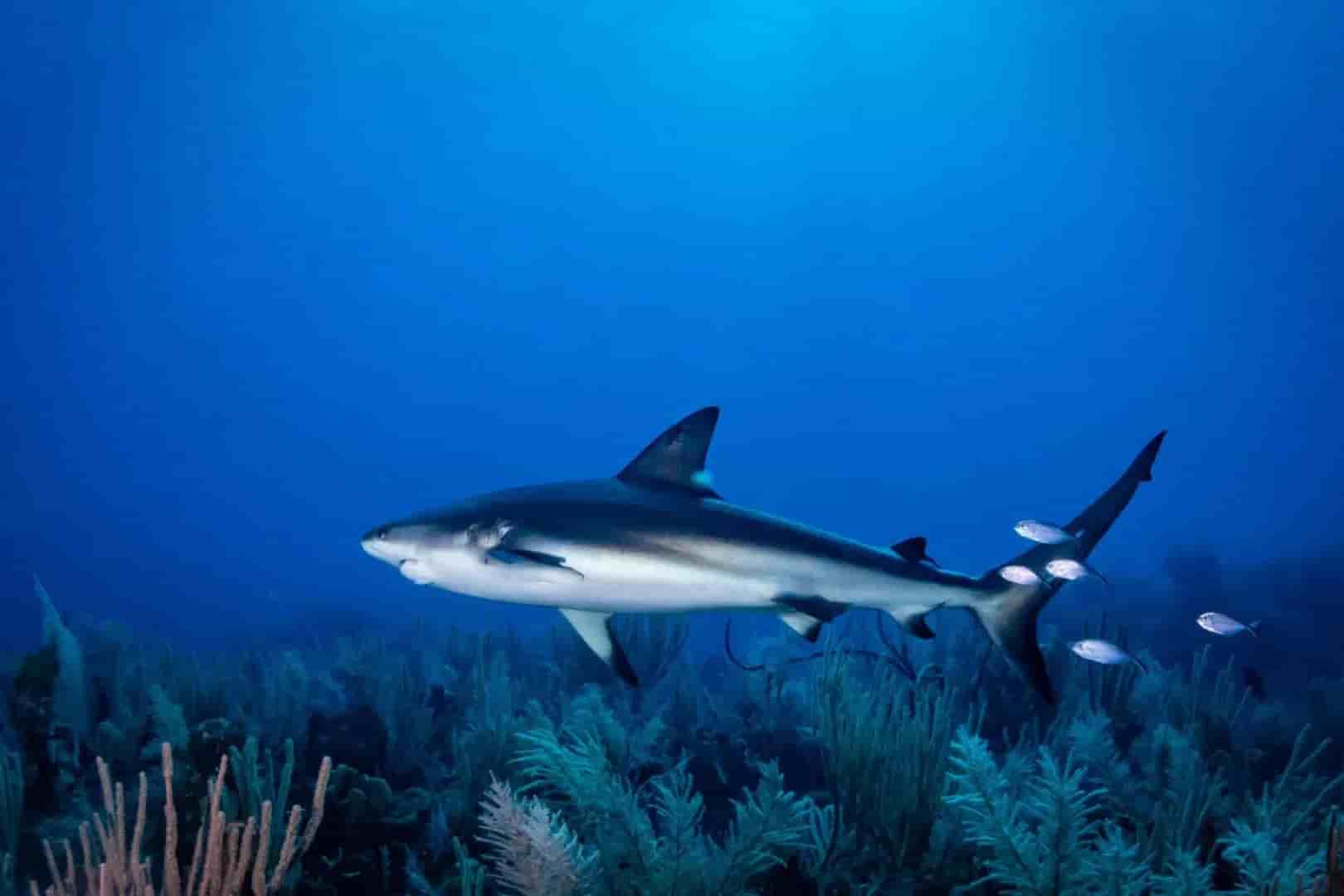 Thumbnail 8 Thumbnail 8