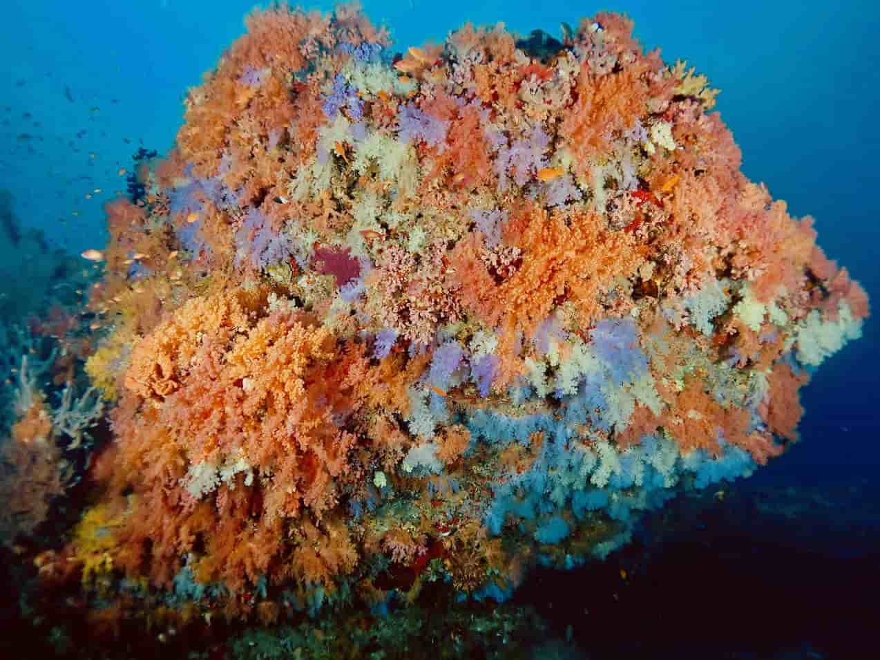 Thumbnail 10 Thumbnail 10