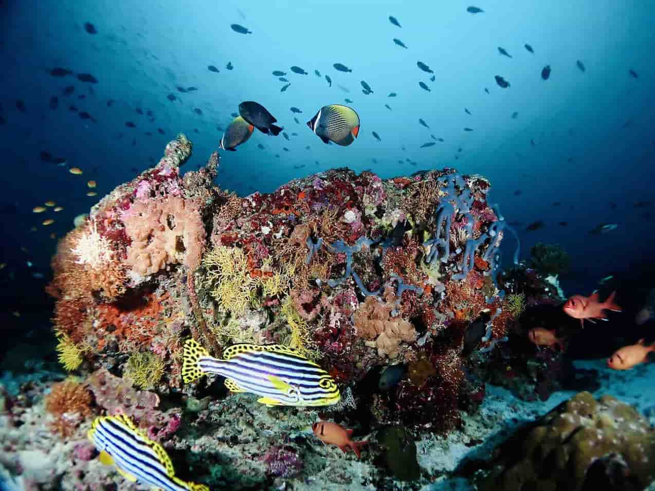 Thumbnail 11 Thumbnail 11