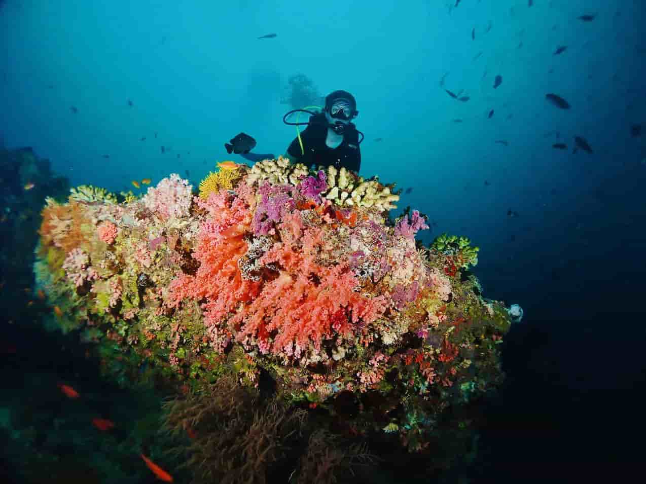 Thumbnail 12 Thumbnail 12