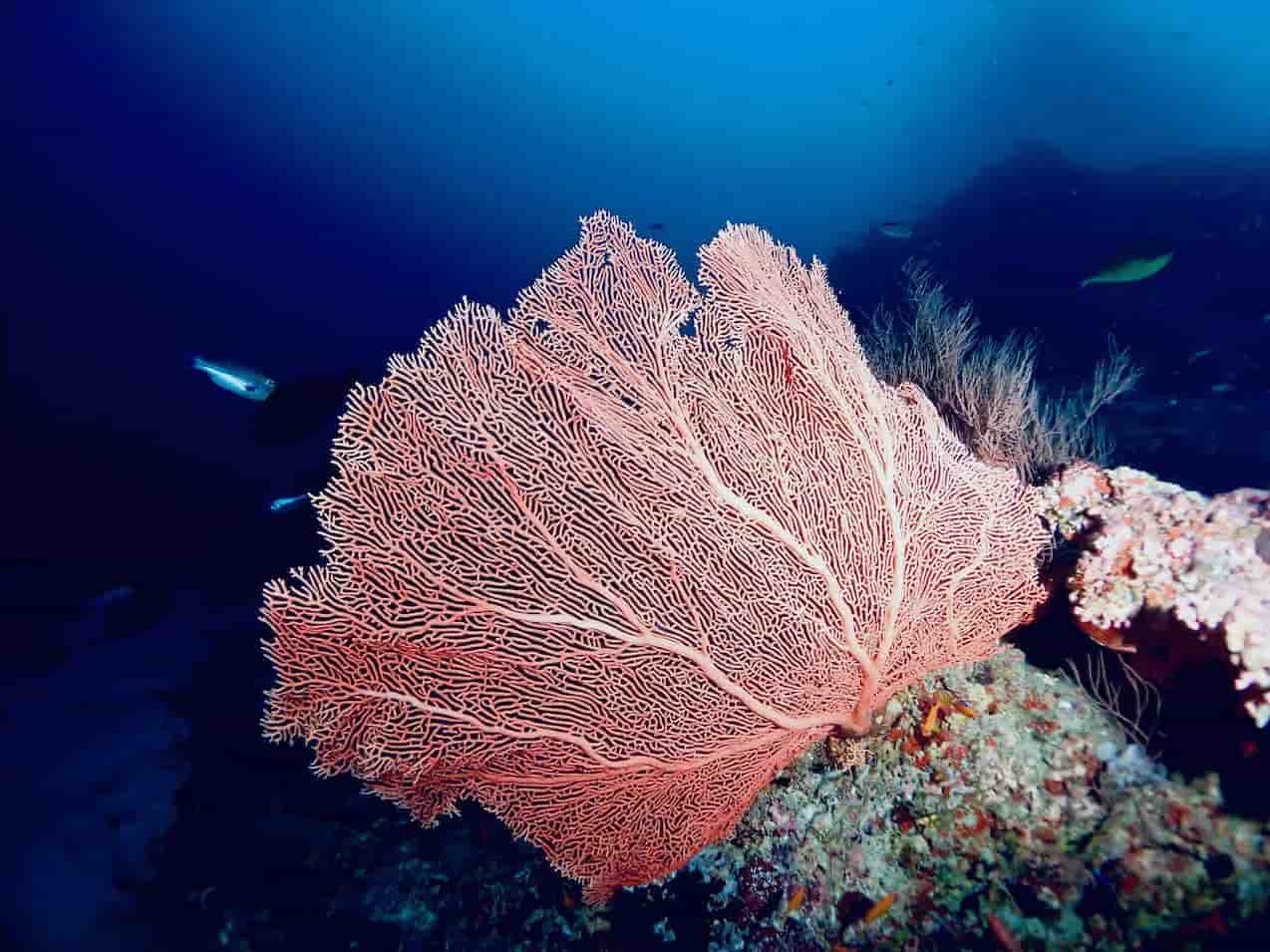 Thumbnail 13 Thumbnail 13