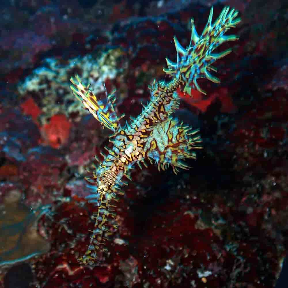 Thumbnail 15 Thumbnail 15